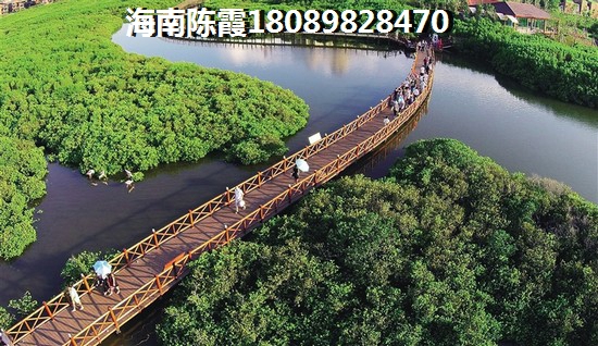 个人办理东方市房产证流程有哪些？办理东方市房产证之前要准备什么？