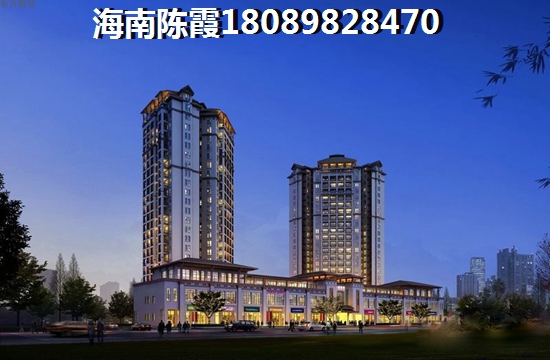 金港海岸概述