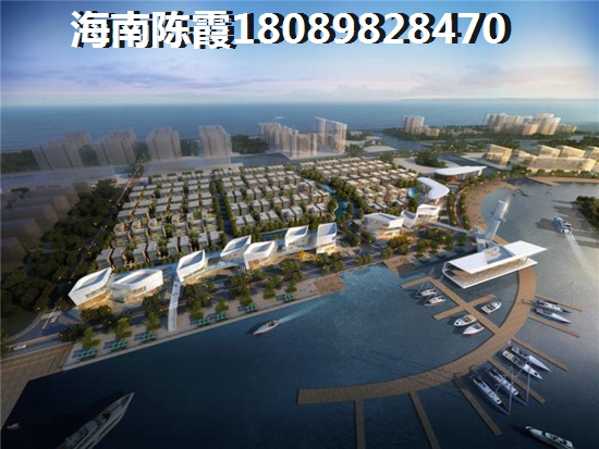 东方花梨湾怎么样？