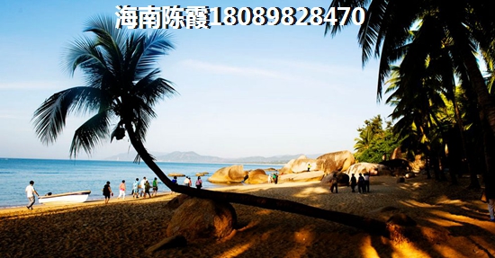 为何买不到金港海岸的房子