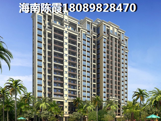 东方市八所未来几年发展计划 东方市八所未来几年发展计划