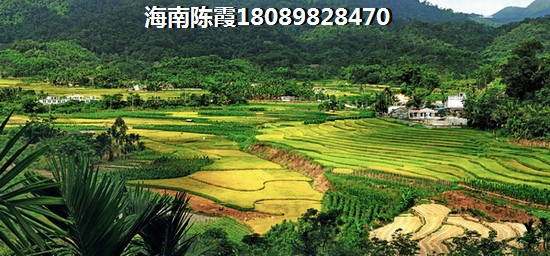 东方·西海岸商铺价格如何？
